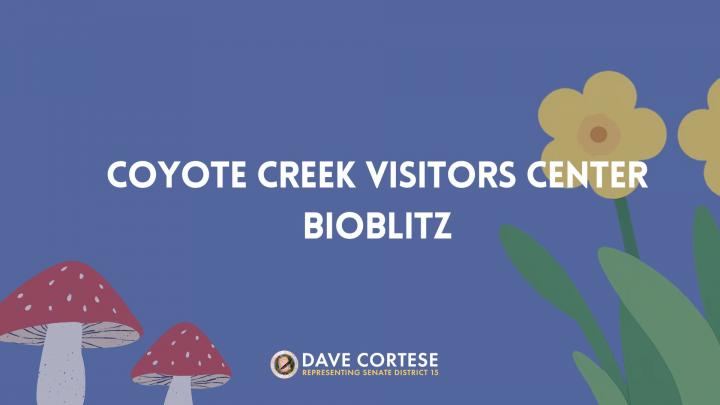 Graphic reading “Coyote Creek Visitors Center Bioblitz”