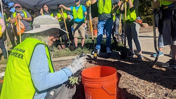 Community member pictured planting