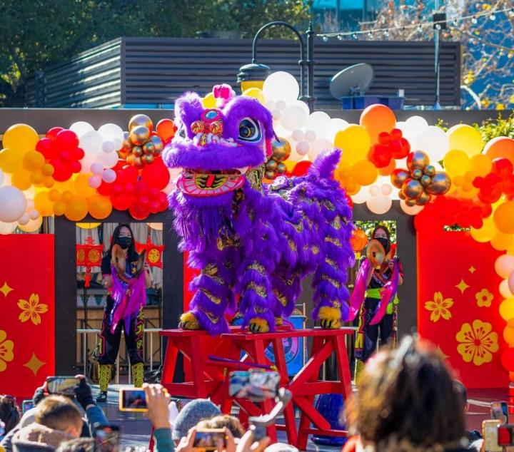 Image of traditional Lunar New Year dragon at a prior year’s celebration.