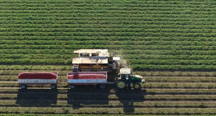 Image of agricultural machinery on a field