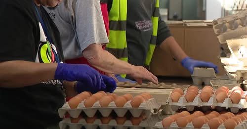 Photograph of egg cartons