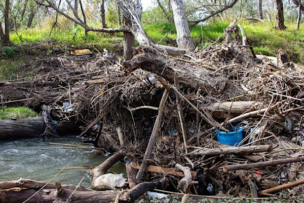 Image of crowded creek and trash