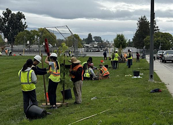 Image of previous tree planting event