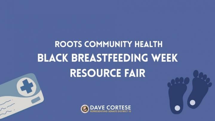 Graphic reading “Roots Community Health Black Breastfeeding Week Resource Fair”