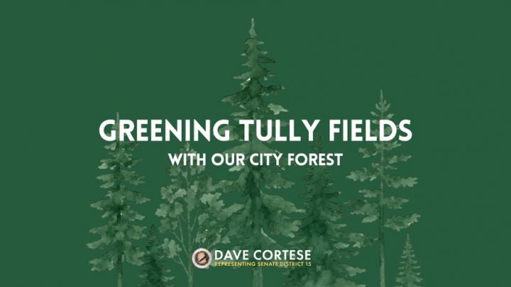 Graphic reading “Greening Tully Fields with Our City Forest”