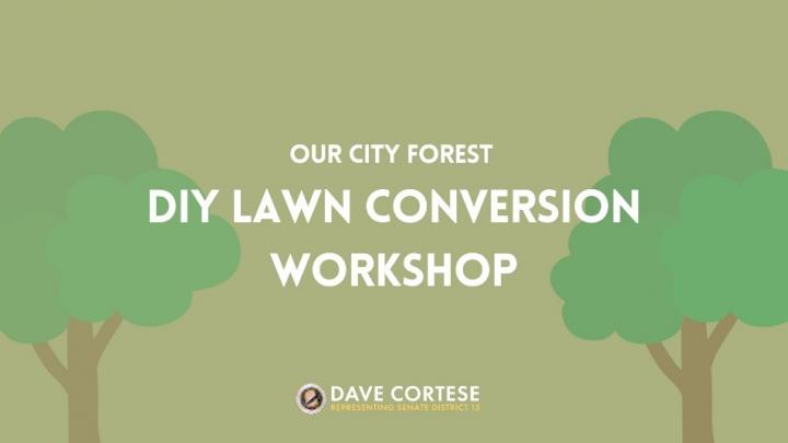Graphic reading “Our City Forest DIY Lawn Conversion Workshop”
